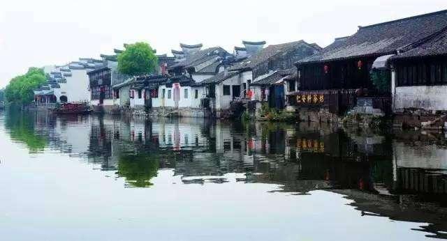 QQ企鹅